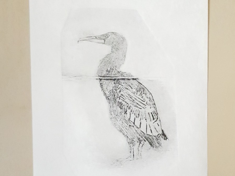 Cormorant drypoint print